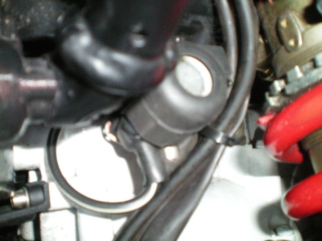 101_0002.jpg