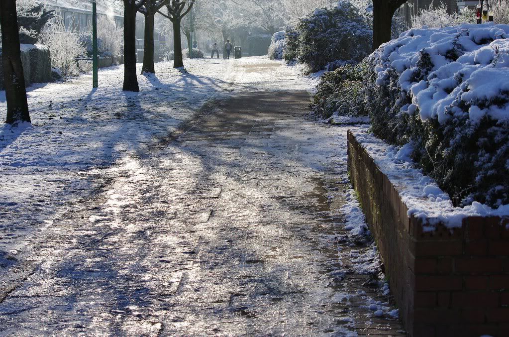 Icy path, Caie Walk Bury St edmunds