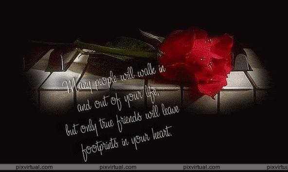 ci-67-flores_rkR6r.gif image by hi54allll