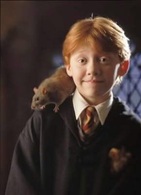 ron and scabbers