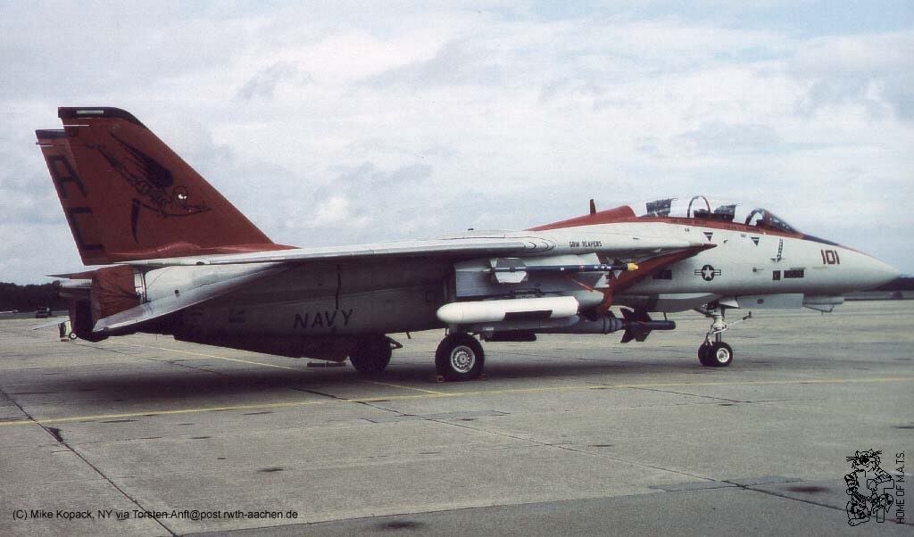 F 14B And D Tomcats VF 101 Grim Reapers Ready For Inspection