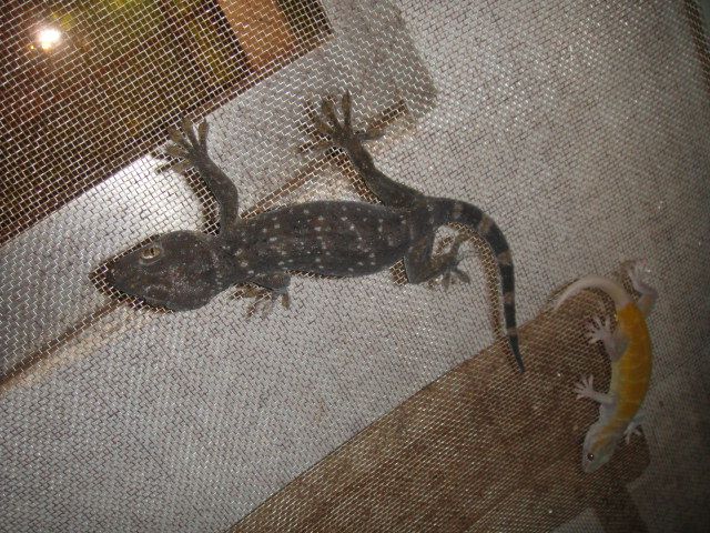 DSC01476.jpg