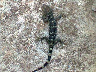 Hi_nh0249.jpg