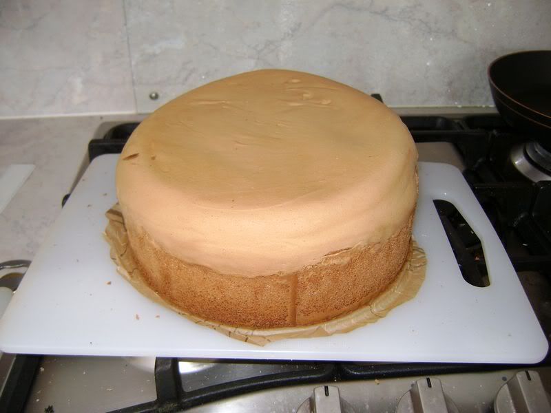 http://i226.photobucket.com/albums/dd136/sterretje1981/DSC00279.jpg