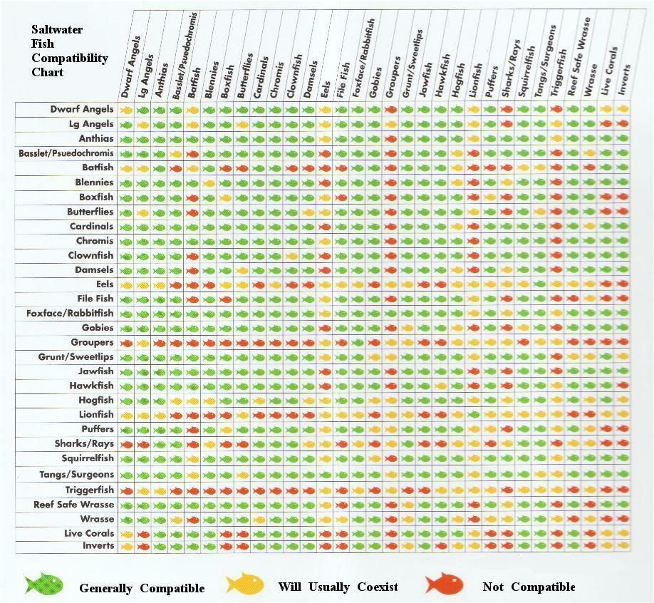 salt water fish compatibility