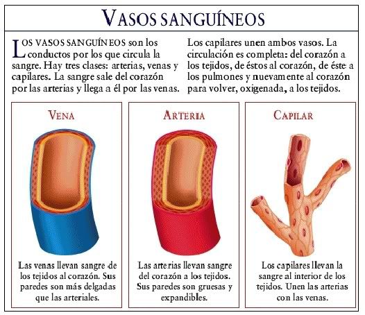 problemas cardiacos