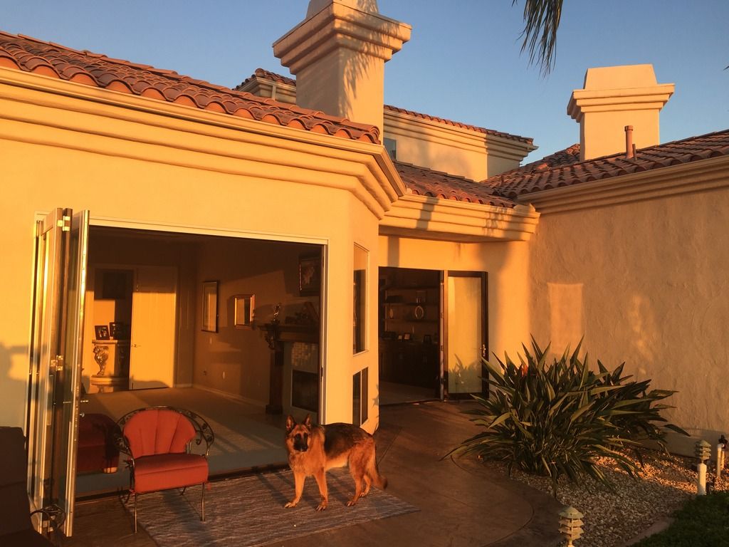 We have no bugs in San Diego. Where else can you leave your doors open