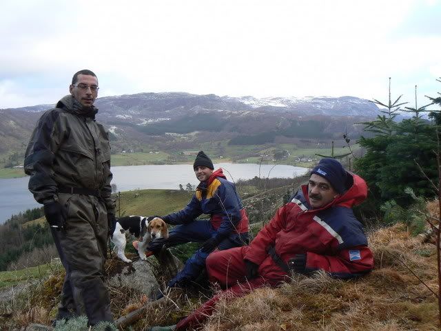 Photo Sharing and Video Hosting at Photobucket