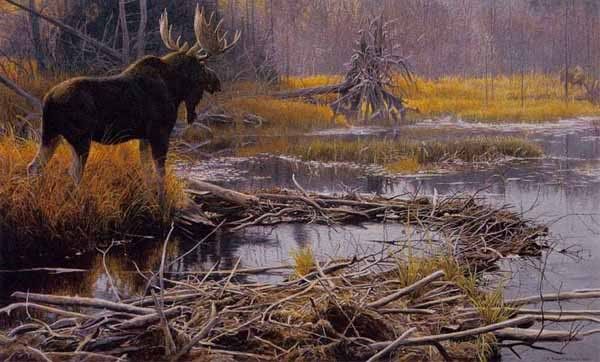 bateman_-_autumn_overture-moose.jpg