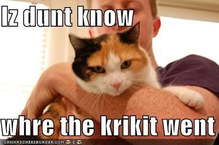 krikitcat.jpg