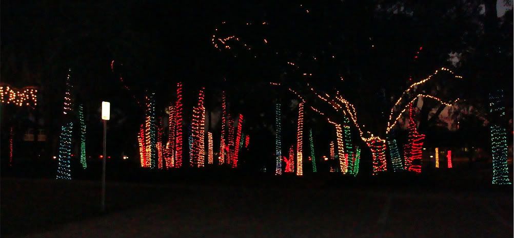 lakemarycityhalllights011.jpg