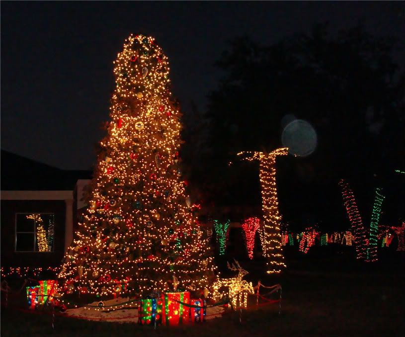 lakemarycityhalllights012.jpg