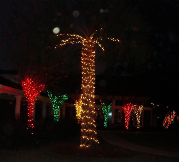 lakemarycityhalllights014.jpg