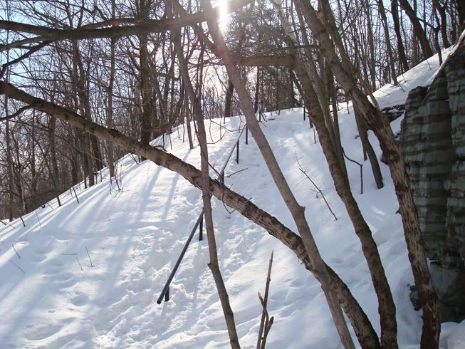 montreal_park_path.jpg