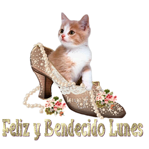 34-4.gif FELIZ Y BENDECIDO LUNES!!! image by rosa1966