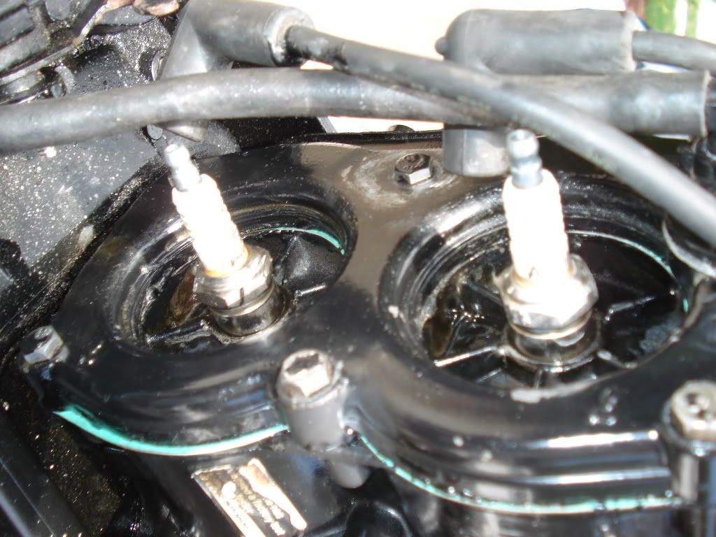 DSC00665.jpg