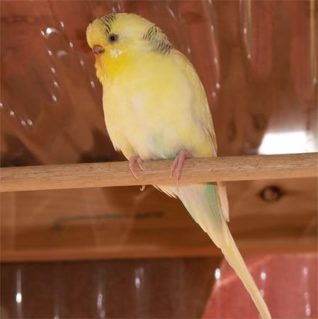 baby080408.jpg