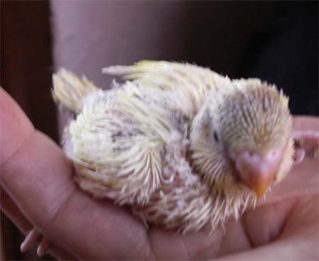 baby1.jpg