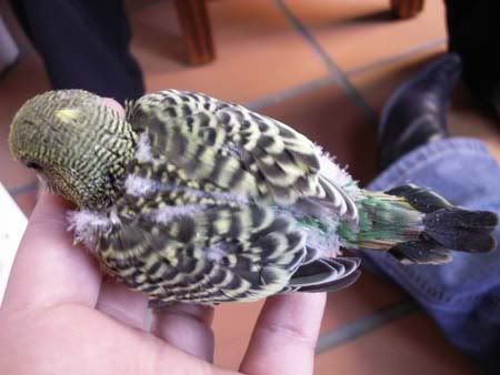 baby3b91107.jpg