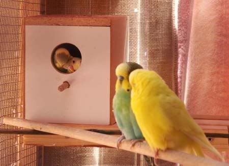 familypic181107.jpg