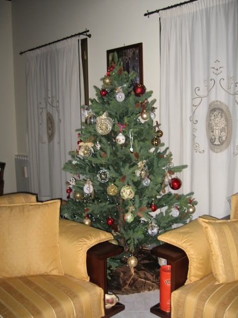 albero.jpg