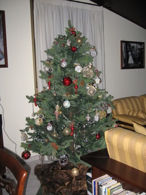 albero1.jpg