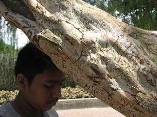 Photo Sharing and Video Hosting at Photobucket