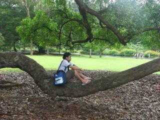 Photo Sharing and Video Hosting at Photobucket