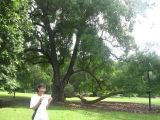 Photo Sharing and Video Hosting at Photobucket