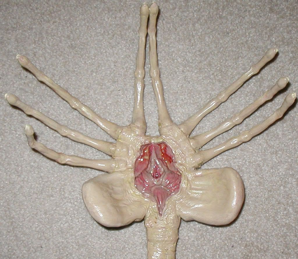 facehugger5.jpg