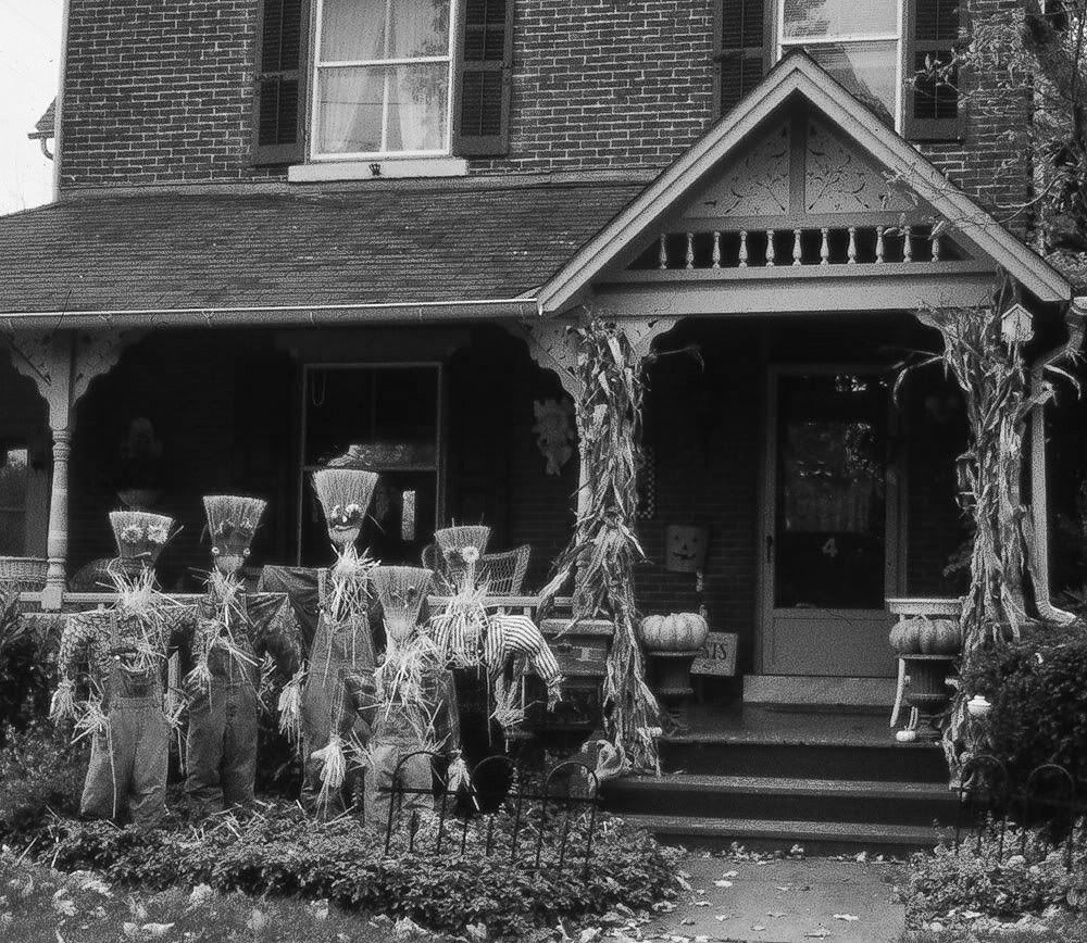 Broom-Family.jpg