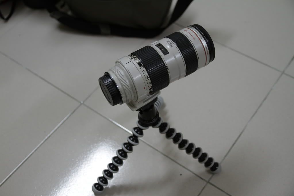 IMAGE: http://i226.photobucket.com/albums/dd228/viducce/wadawatz/IMG_0002.jpg