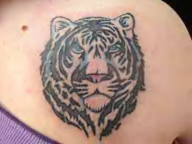 white tiger tattoo. white tiger tattoo Image