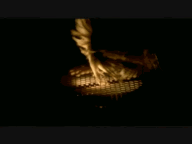 ruki taion Pictures, Images and Photos