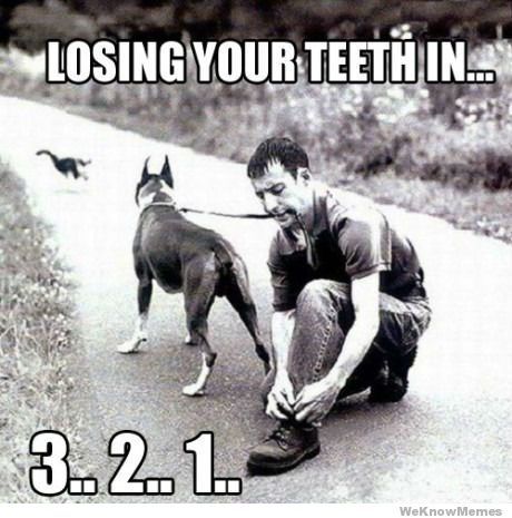  photo losing-your-teeth-in-321_zps5e86464e.jpg