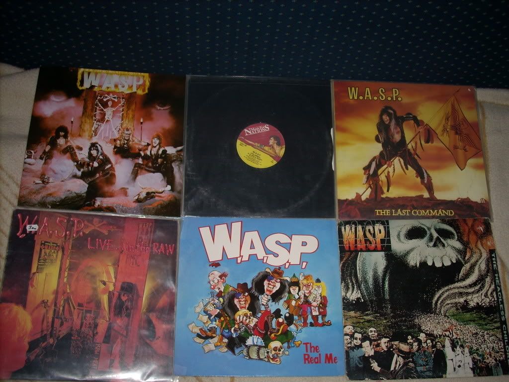 WASP.jpg