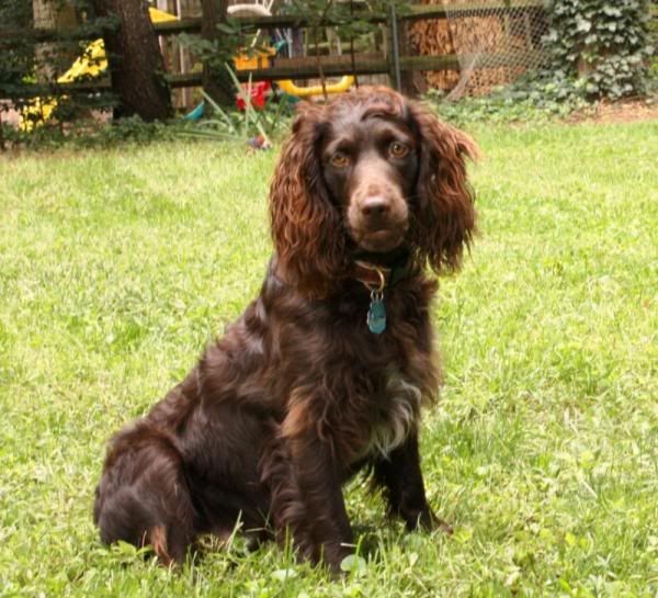 IMAGE: http://i226.photobucket.com/albums/dd252/boondoggle84/beaudie.jpg