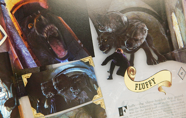 Harry Potter Harry Potter