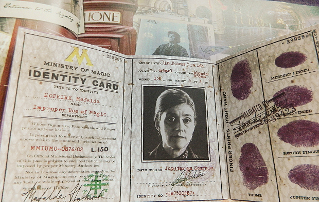 Harry Potter Harry Potter