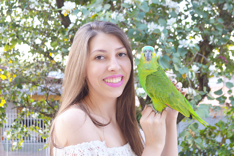 Papagaio