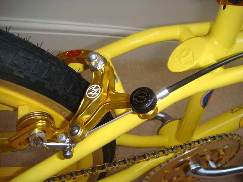 http://i226.photobucket.com/albums/dd272/DOMPHIPPSIO/FinishGT008.jpg