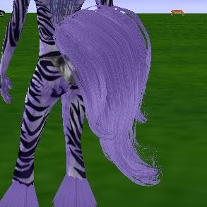 SC Purple Horse Tail