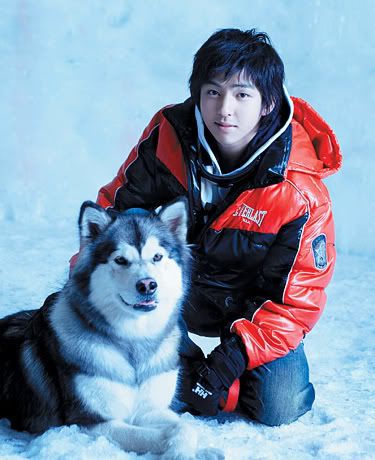 kibum_dog