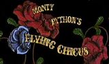 pythonthing.jpg image by LuLuPetunia