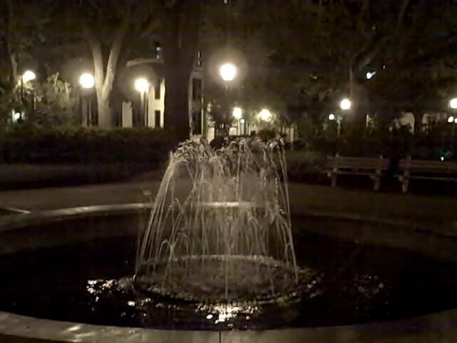 Savannah Fountain