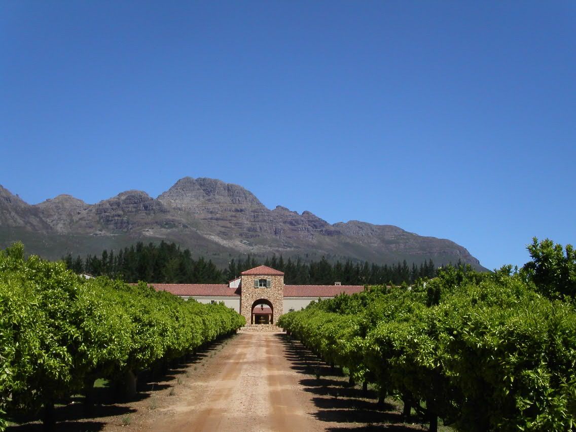 Stellenbosch  Winery