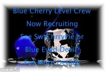 blue cherry leveling crew
