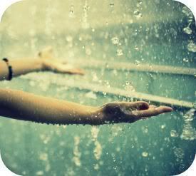 rain photography Pictures, Images and Photos