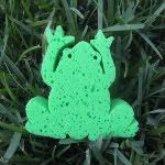 Frog Soapy Sponge
