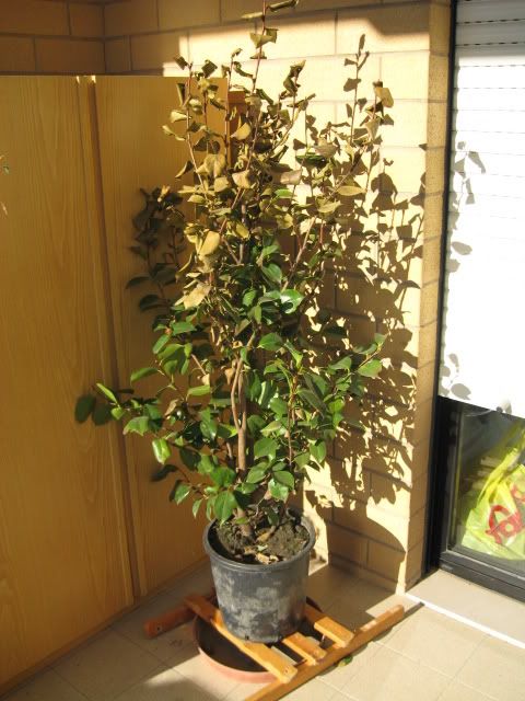 Immagine012.jpg